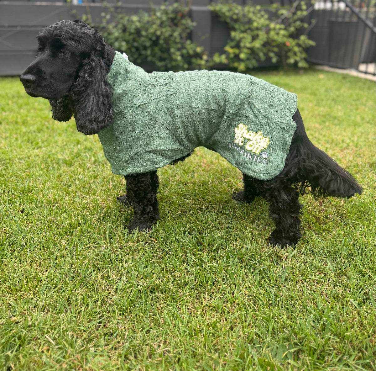 Brookies Dog Robe