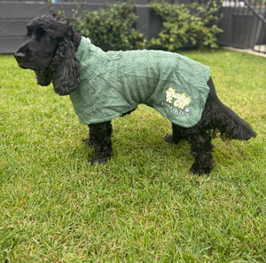 Brookies Dog Robe