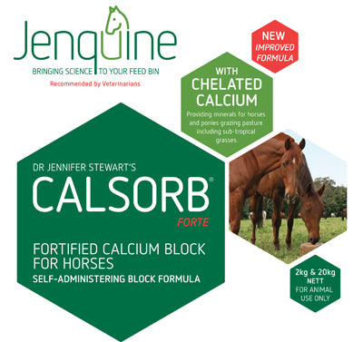 Jenquine Calsorb Forte