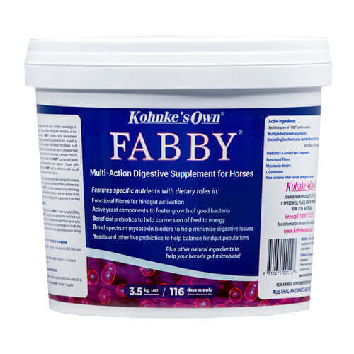 Kohnkes Own Fabby