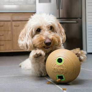 KONG Bamboo Feeder Ball Treat Dispensing Dog Toy