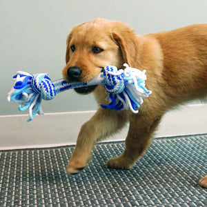 KONG Puppy Rope Ball Dog Toy
