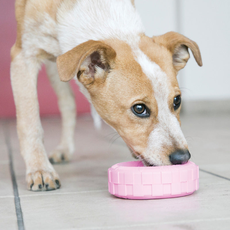 KONG Puppy Tires Dog Toy