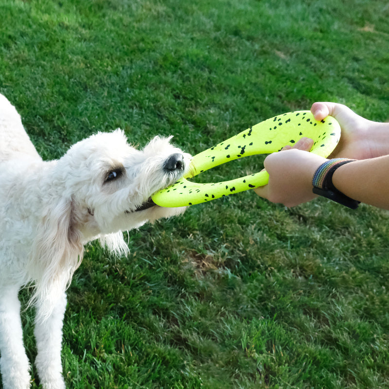 KONG Reflex Flyer Dog Toy