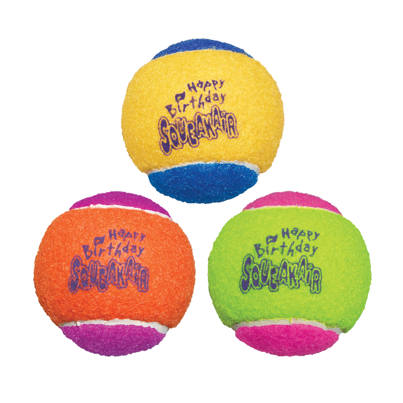 KONG AirDog Squeaker Birthday Balls 3pk Dog Toy