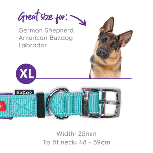 Kazoo Active Dog Collar