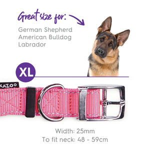 Kazoo Active Dog Collar