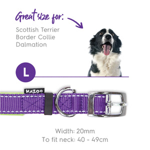 Kazoo Active Dog Collar