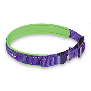 Kazoo Active Dog Collar