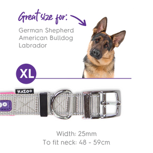 Kazoo Active Dog Collar