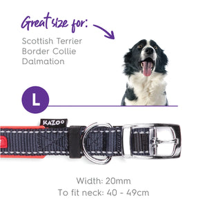 Kazoo Active Dog Collar