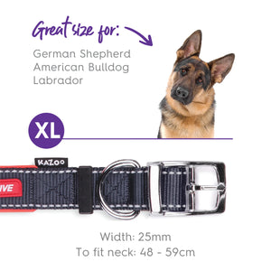 Kazoo Active Dog Collar