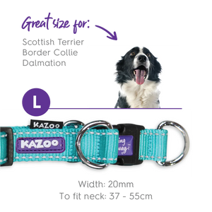 Kazoo Active Easy Clip Dog Collar