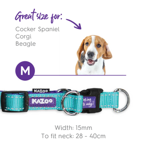 Kazoo Active Easy Clip Dog Collar