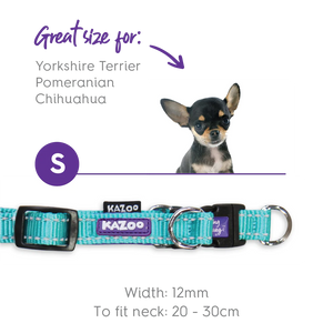 Kazoo Active Easy Clip Dog Collar