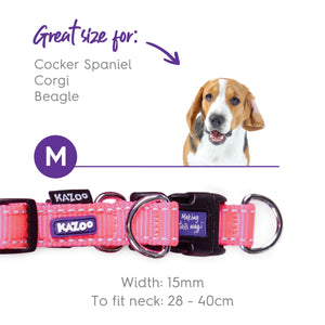 Kazoo Active Easy Clip Dog Collar
