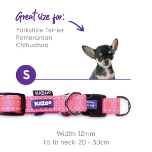 Kazoo Active Easy Clip Dog Collar