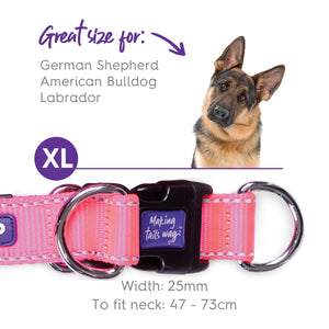 Kazoo Active Easy Clip Dog Collar