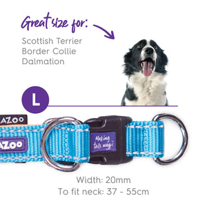 Kazoo Active Easy Clip Dog Collar