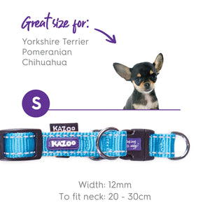 Kazoo Active Easy Clip Dog Collar