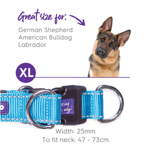 Kazoo Active Easy Clip Dog Collar