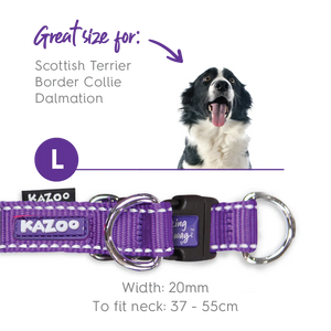 Kazoo Active Easy Clip Dog Collar