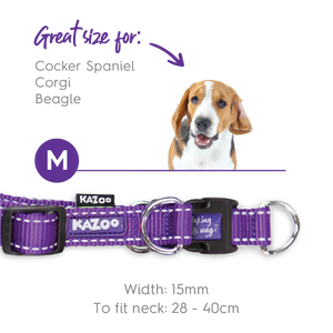 Kazoo Active Easy Clip Dog Collar