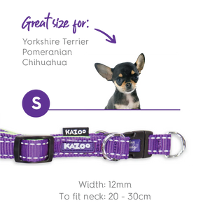 Kazoo Active Easy Clip Dog Collar