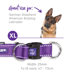 Kazoo Active Easy Clip Dog Collar