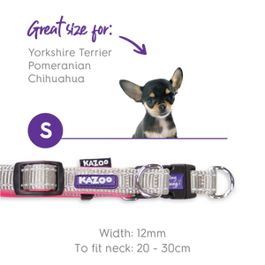 Kazoo Active Easy Clip Dog Collar
