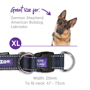 Kazoo Active Easy Clip Dog Collar