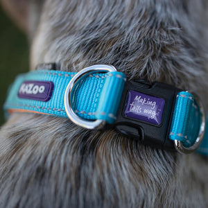 Kazoo Active Easy Clip Dog Collar