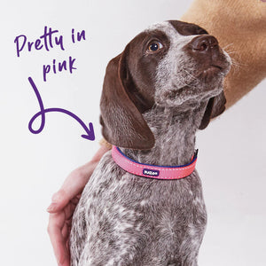 Kazoo Active Easy Clip Dog Collar