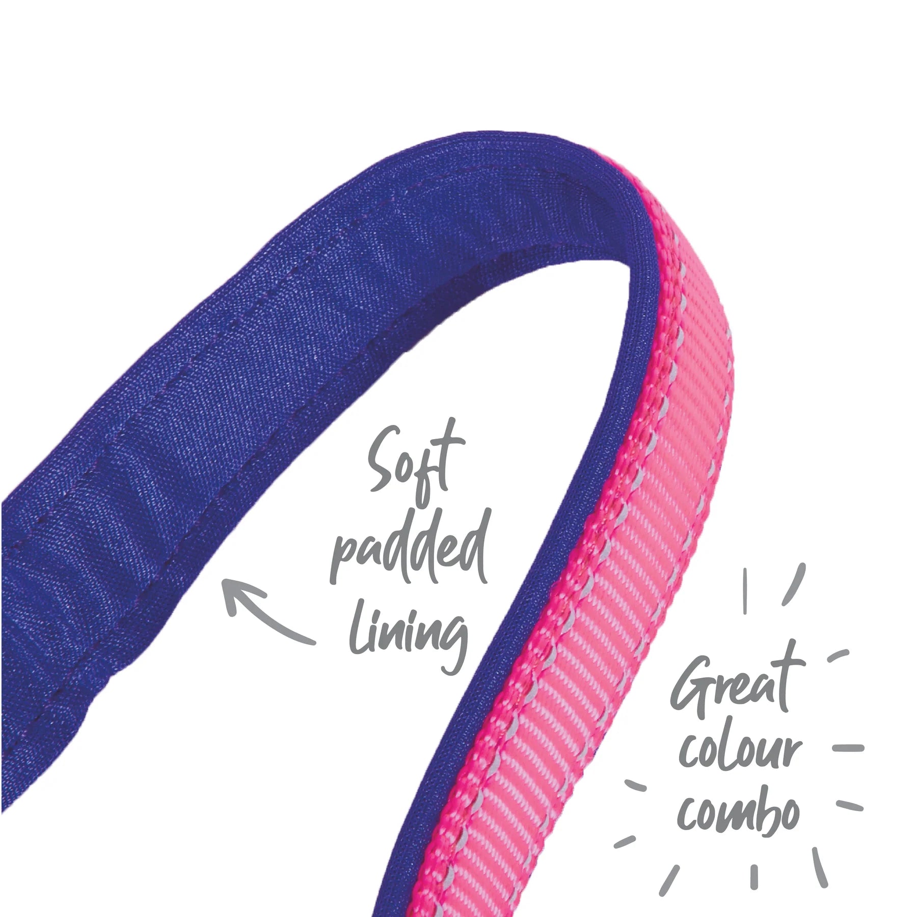 Kazoo Active Easy Clip Dog Collar