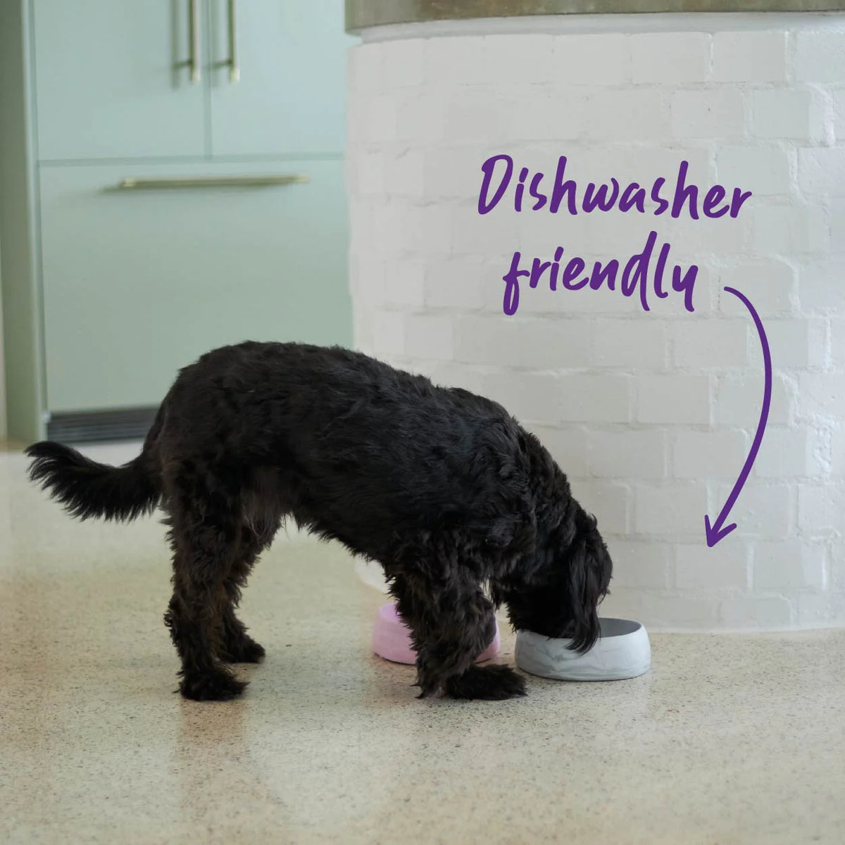 Kazoo Better Bowl for Dogs