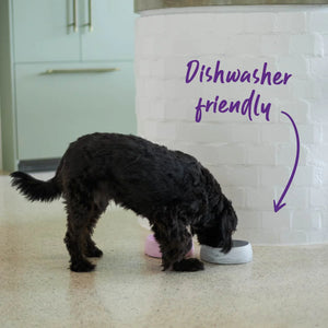 Kazoo Better Bowl for Dogs