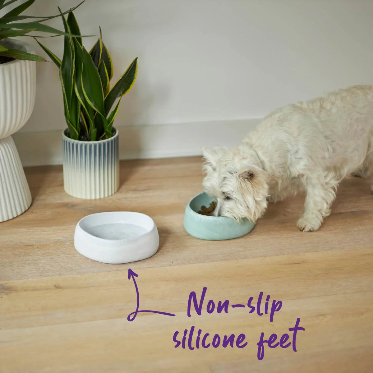 Kazoo Better Bowl for Dogs