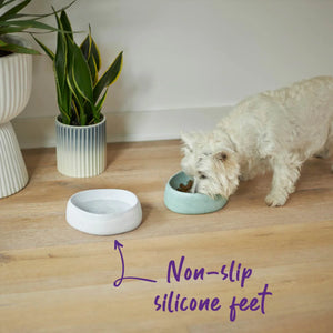 Kazoo Better Bowl for Dogs