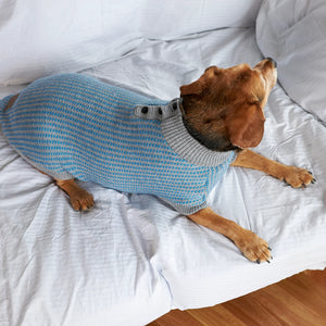 Kazoo Blue Button Up Knit