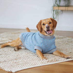 Kazoo Blue Button Up Knit