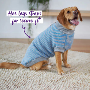Kazoo Blue Button Up Knit