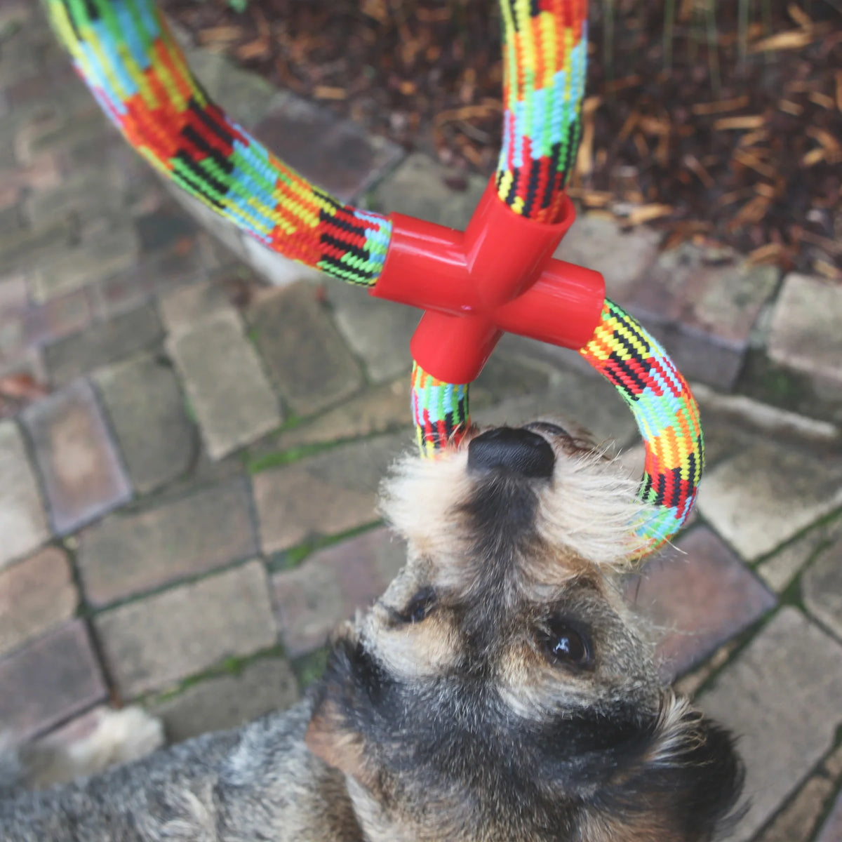 Kazoo Braided Rope Figure 8 Tug Dog Toy