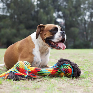 Kazoo Braided Rope Knot Bone Dog Toy