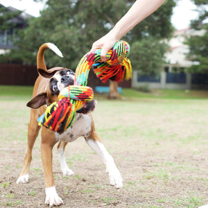 Kazoo Braided Rope Knot Bone Dog Toy