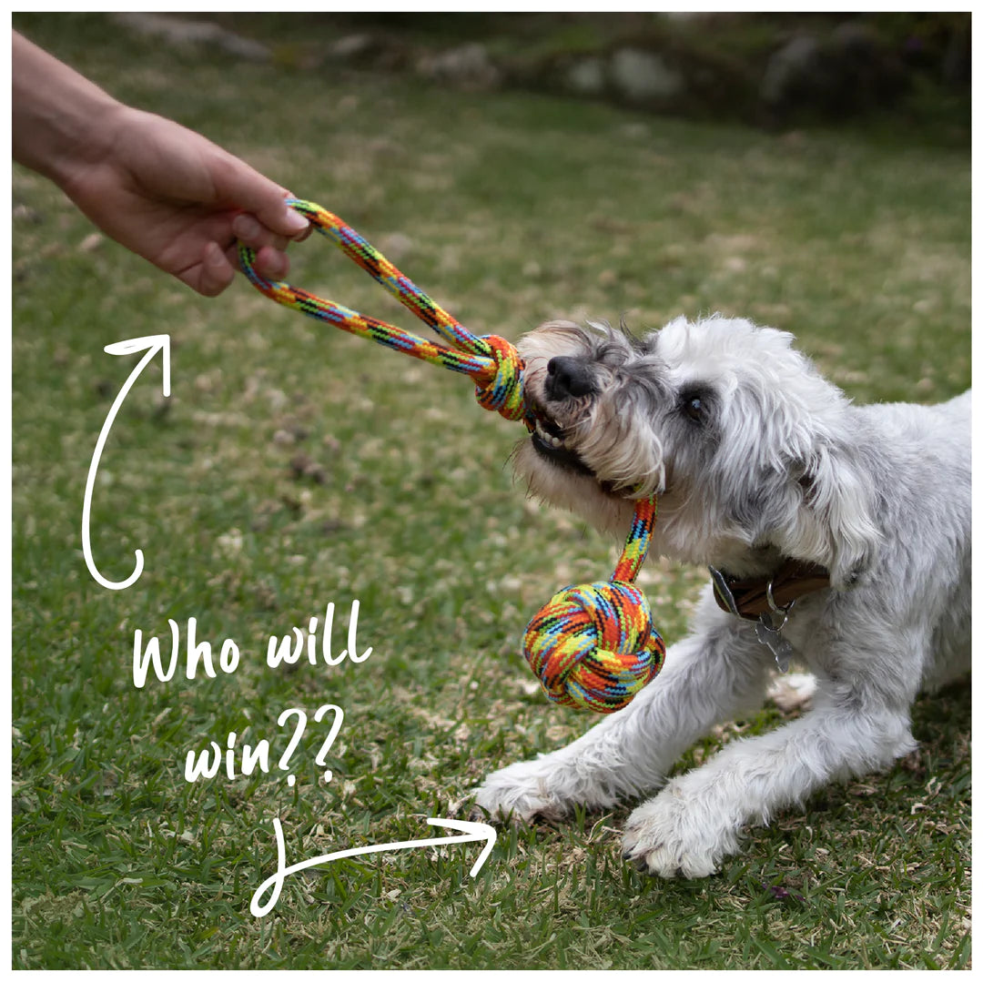 Kazoo Braided Rope Sling Knot Ball Dog Toy