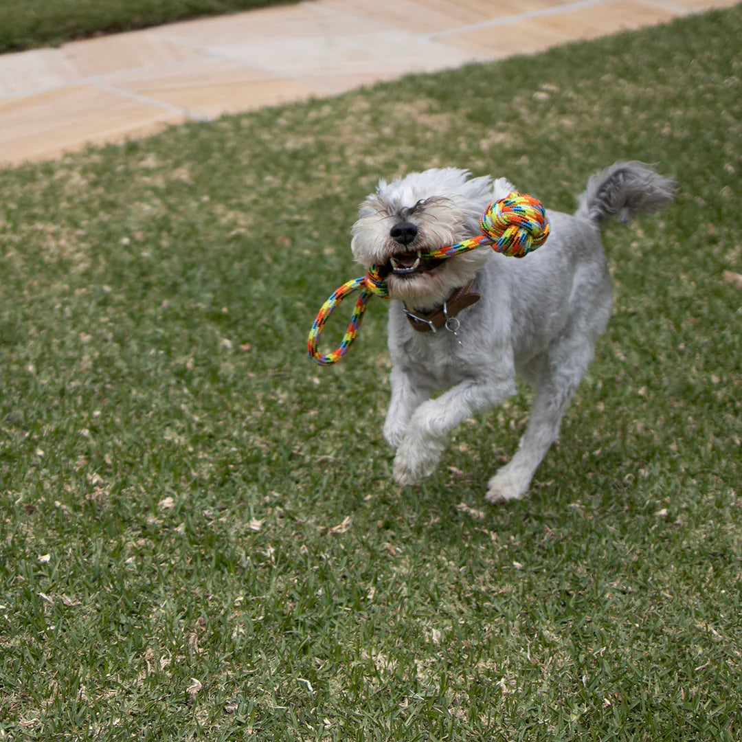 Kazoo Braided Rope Sling Knot Ball Dog Toy