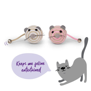 Kazoo Catch & Scratch Jingle Mouse Cat Toy