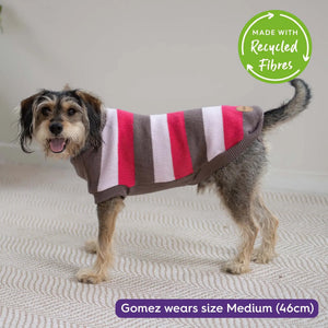 Kazoo Chestie Jumper