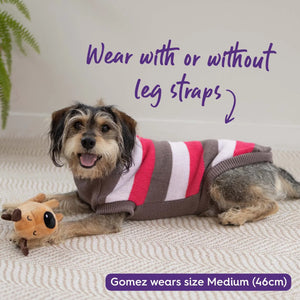 Kazoo Chestie Jumper