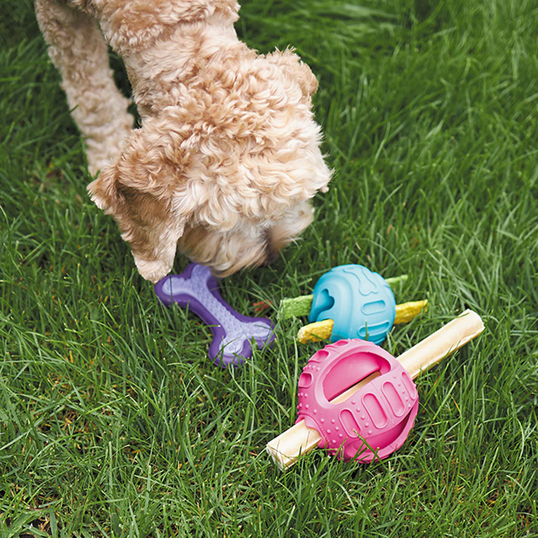 Kazoo Chew and Treat Enrichment Ball Dog Toy